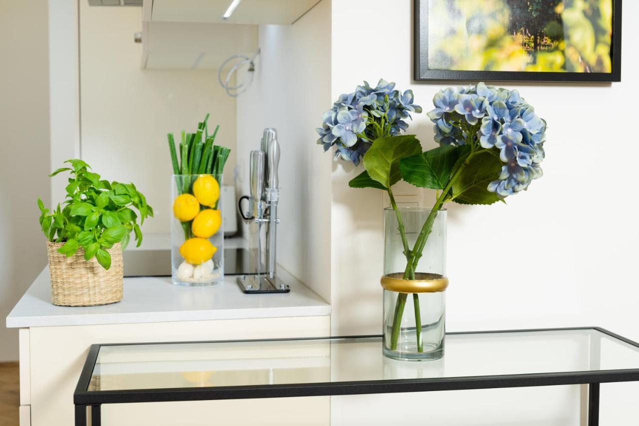 Smile Apartments Burggasse Кремс Екстериор снимка